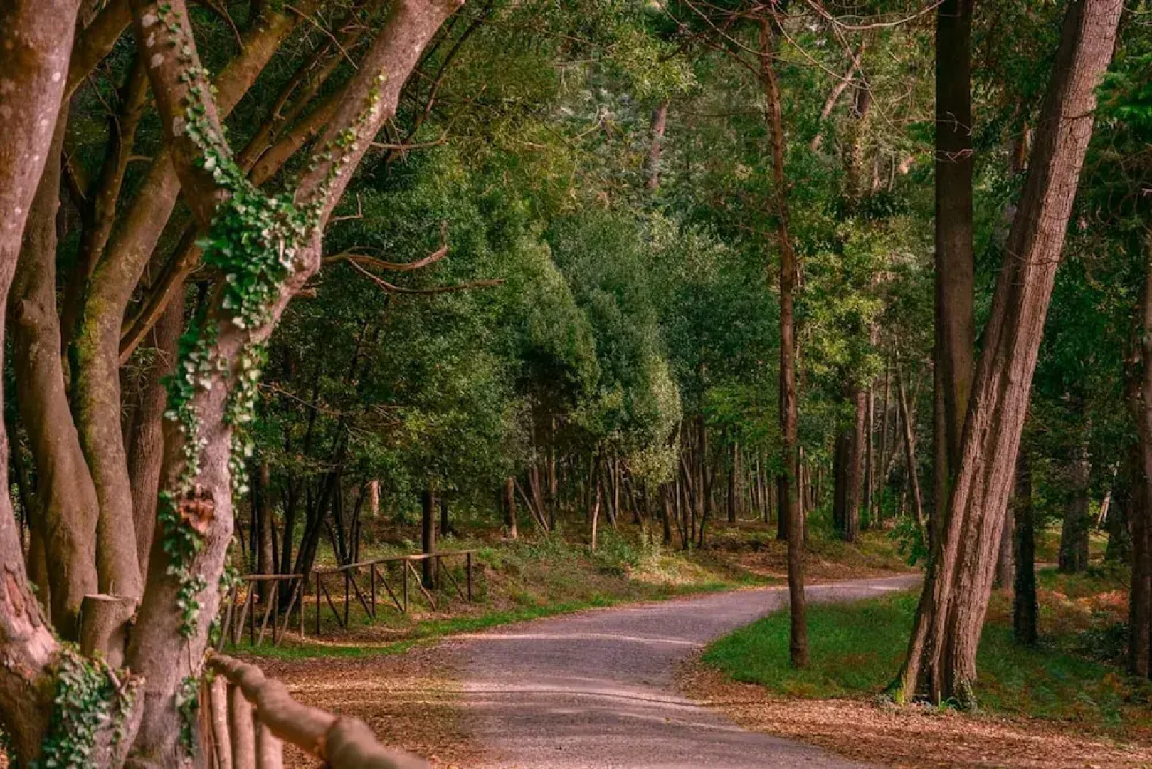 Galante Beach Apartment Wi-fi Private Parking