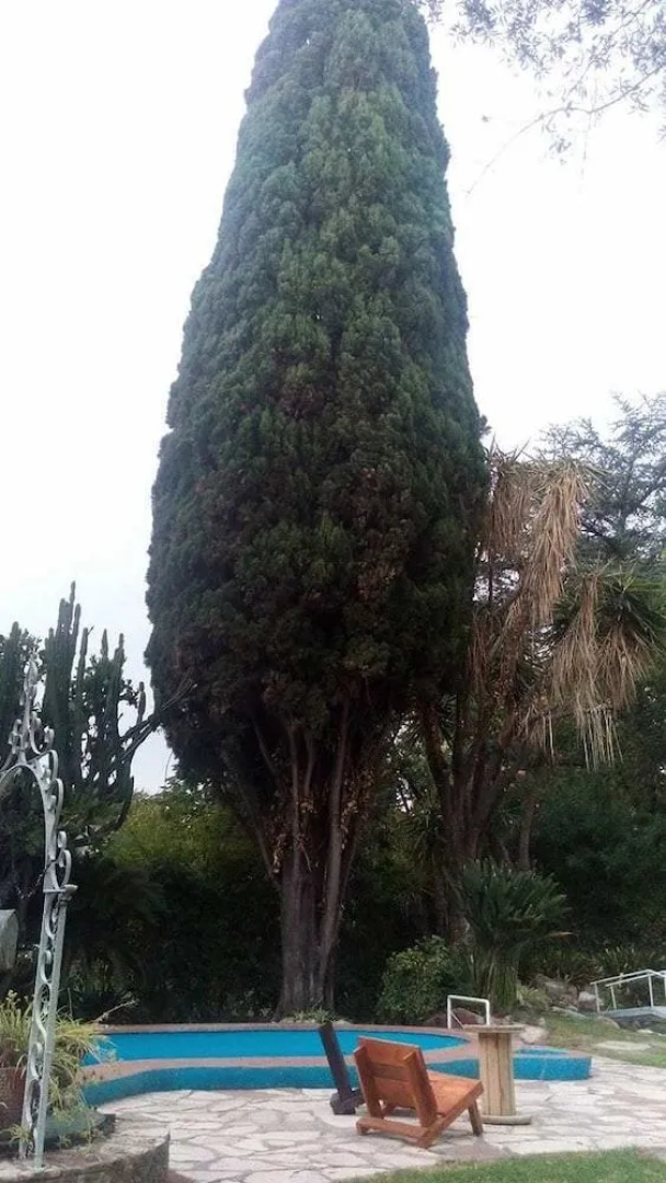 La gardenia
