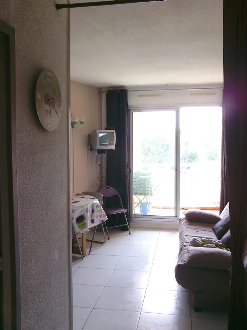 Studio in Bormes-les-mimosas, With Wonderful sea View, Pool Access and
