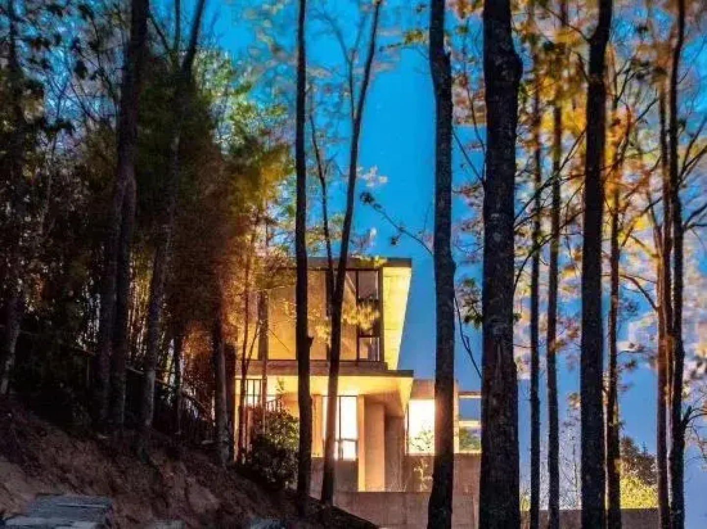 Yuanyang  Nuoma Amei Tea  Manor