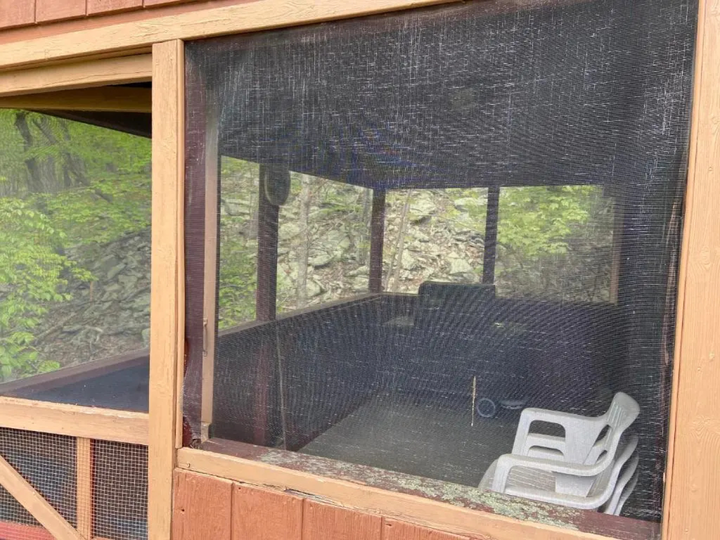 Saw Creek Cabin - Regent Hilltop