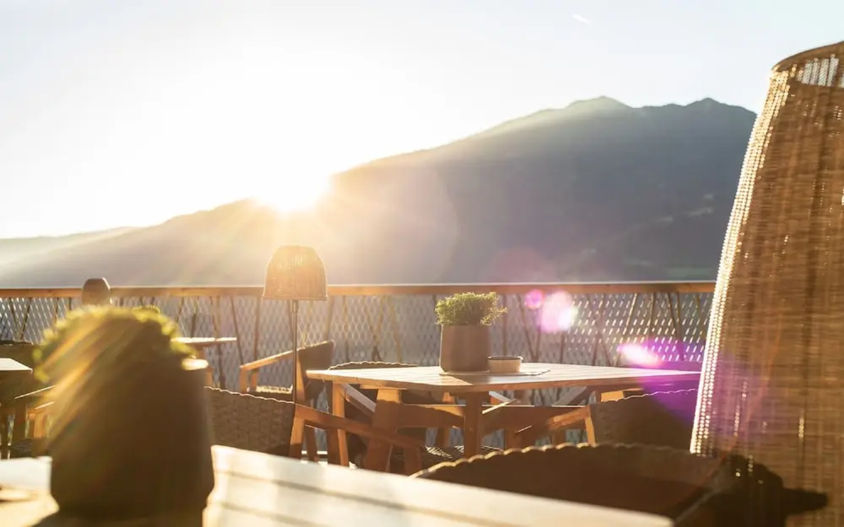 My Arbor - Adults Only