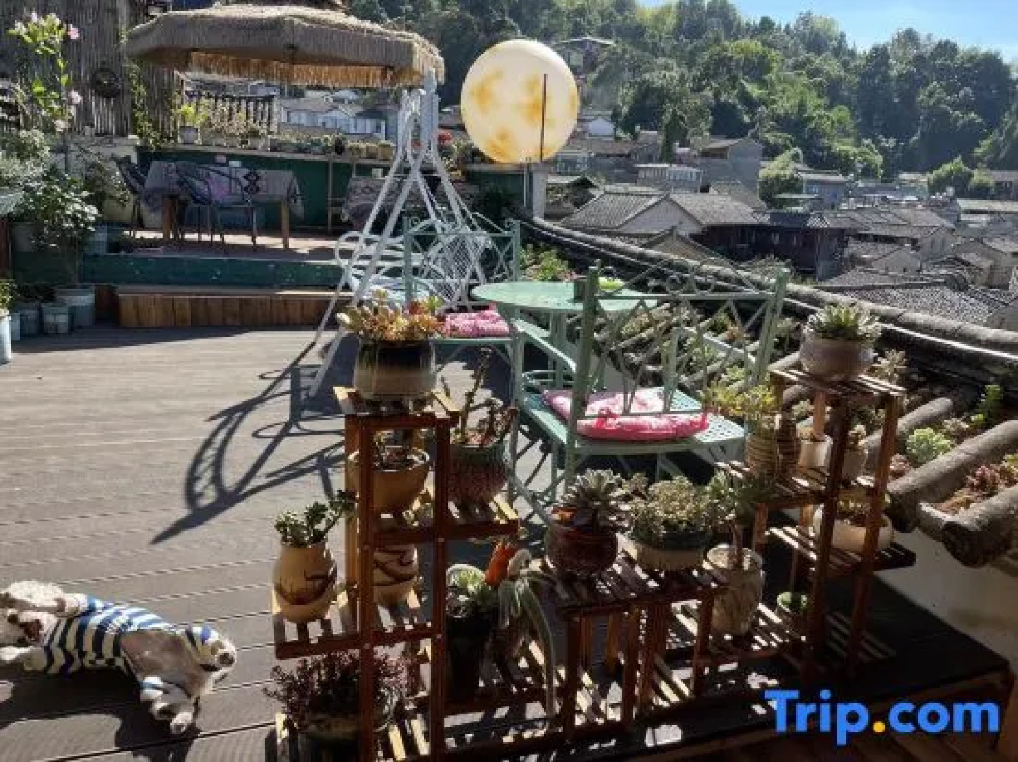 Floral Hotel·Our Yard Hotel（tengchong）