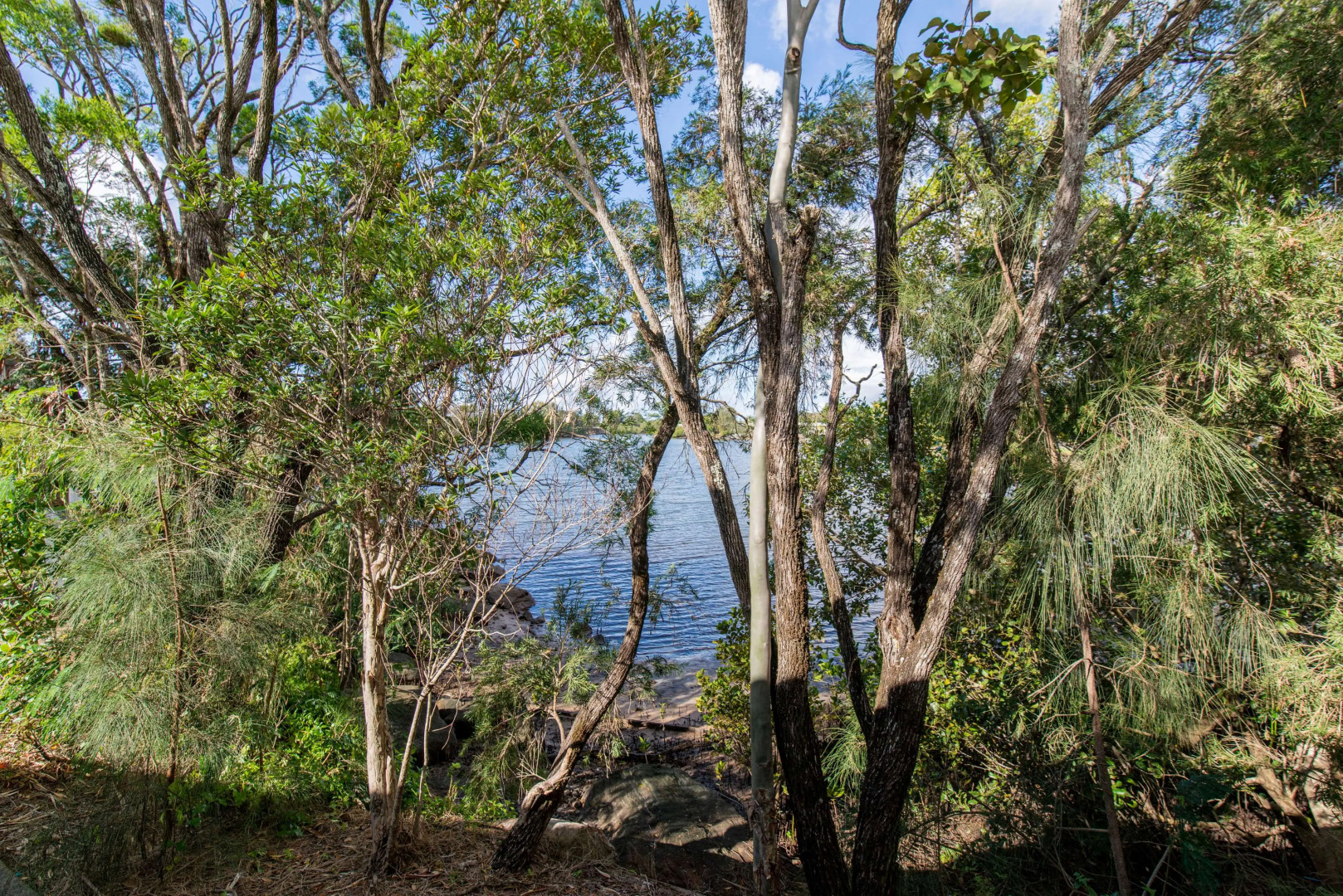Nightcap at Northern Grounds