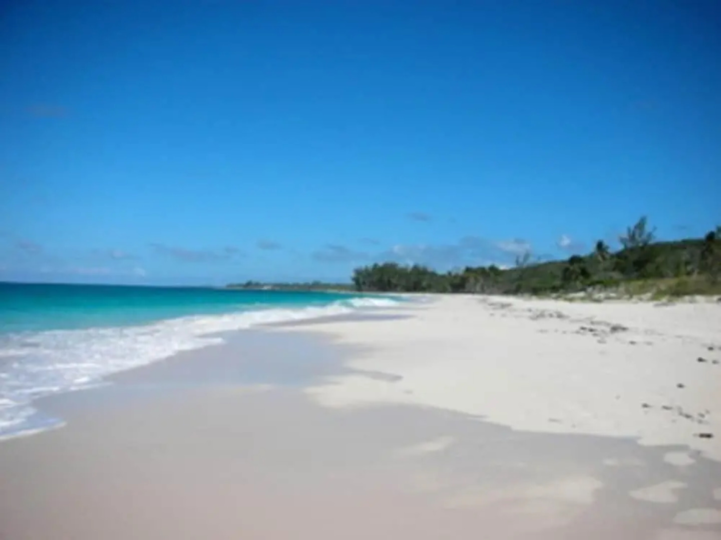Bahama Mama