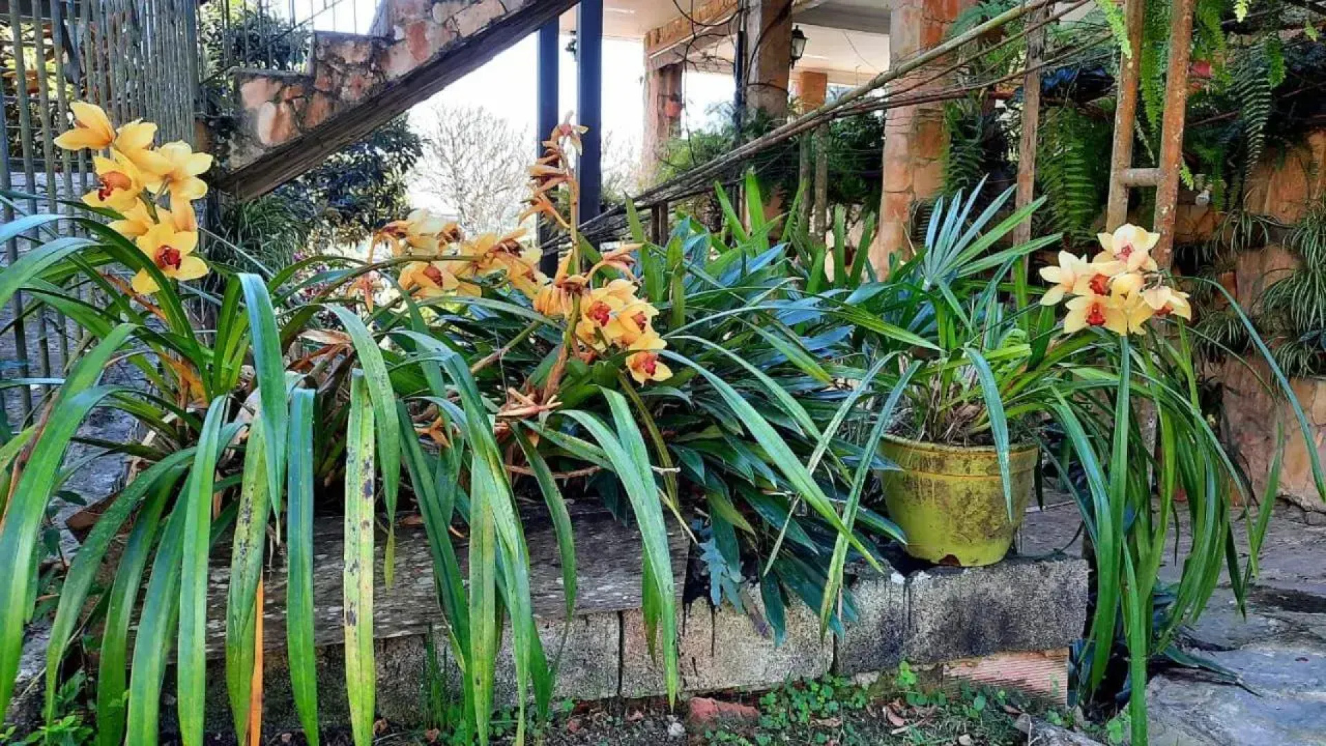 Pousada Canto da Coruja