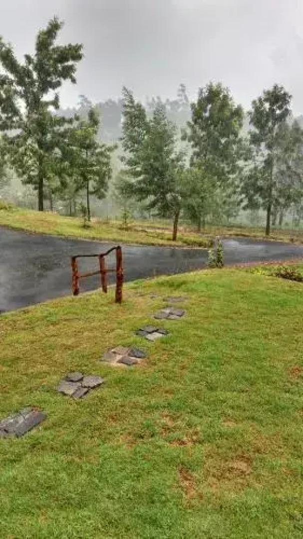 The Clive and Curzon