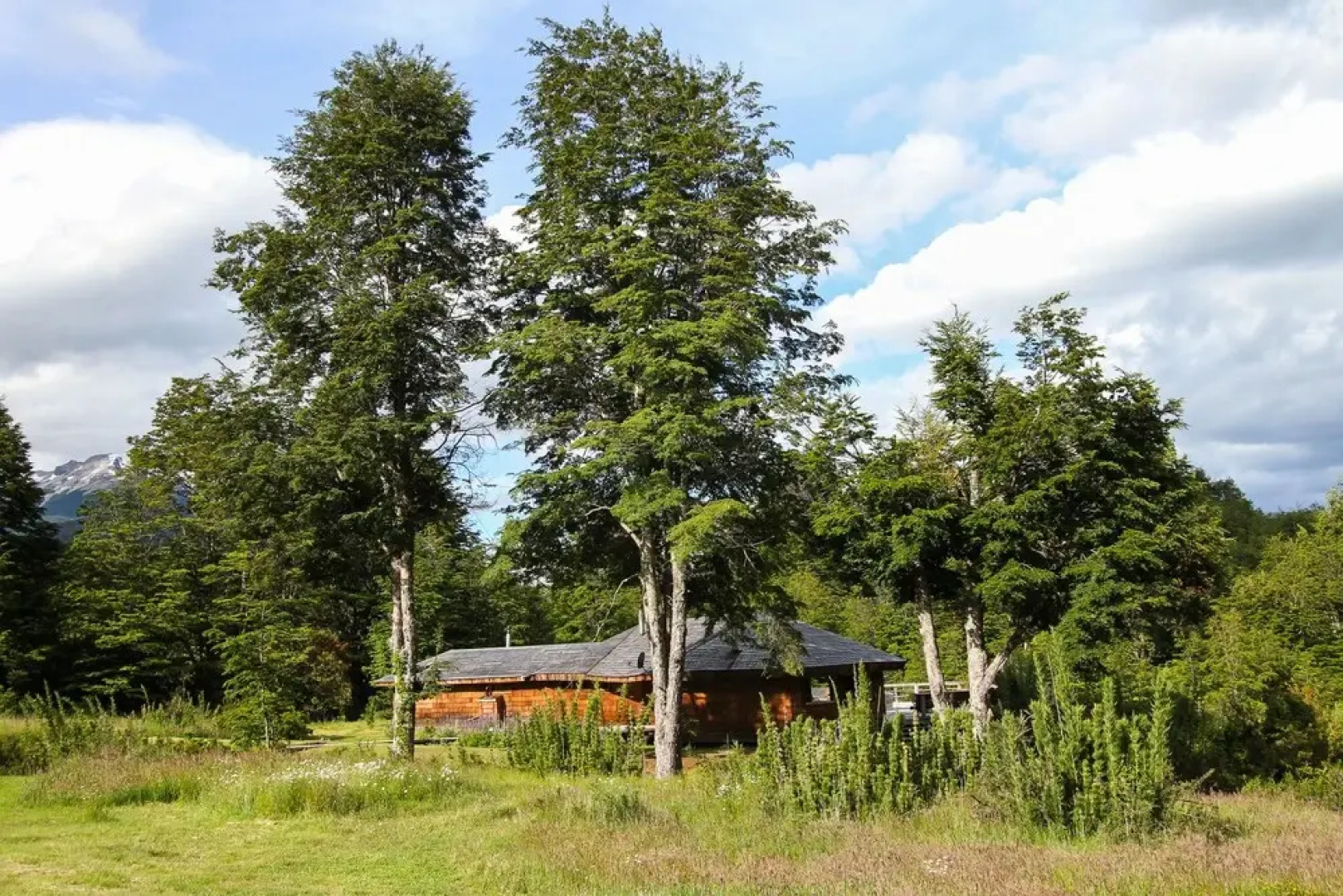 Peuma Lodge Patagonia