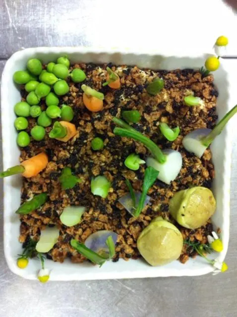 Agriturismo Accipicchia