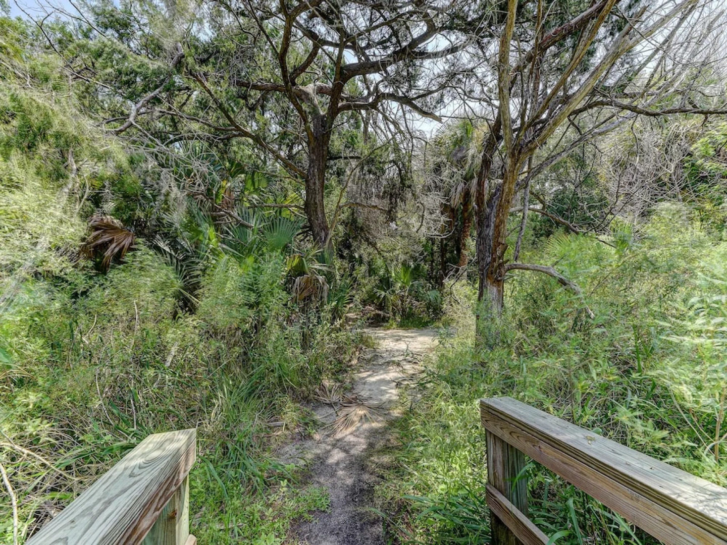 Sea Forever Upper Level by Vtrips