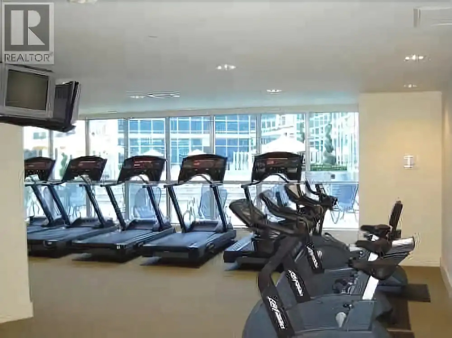 Pelican on the Harbour