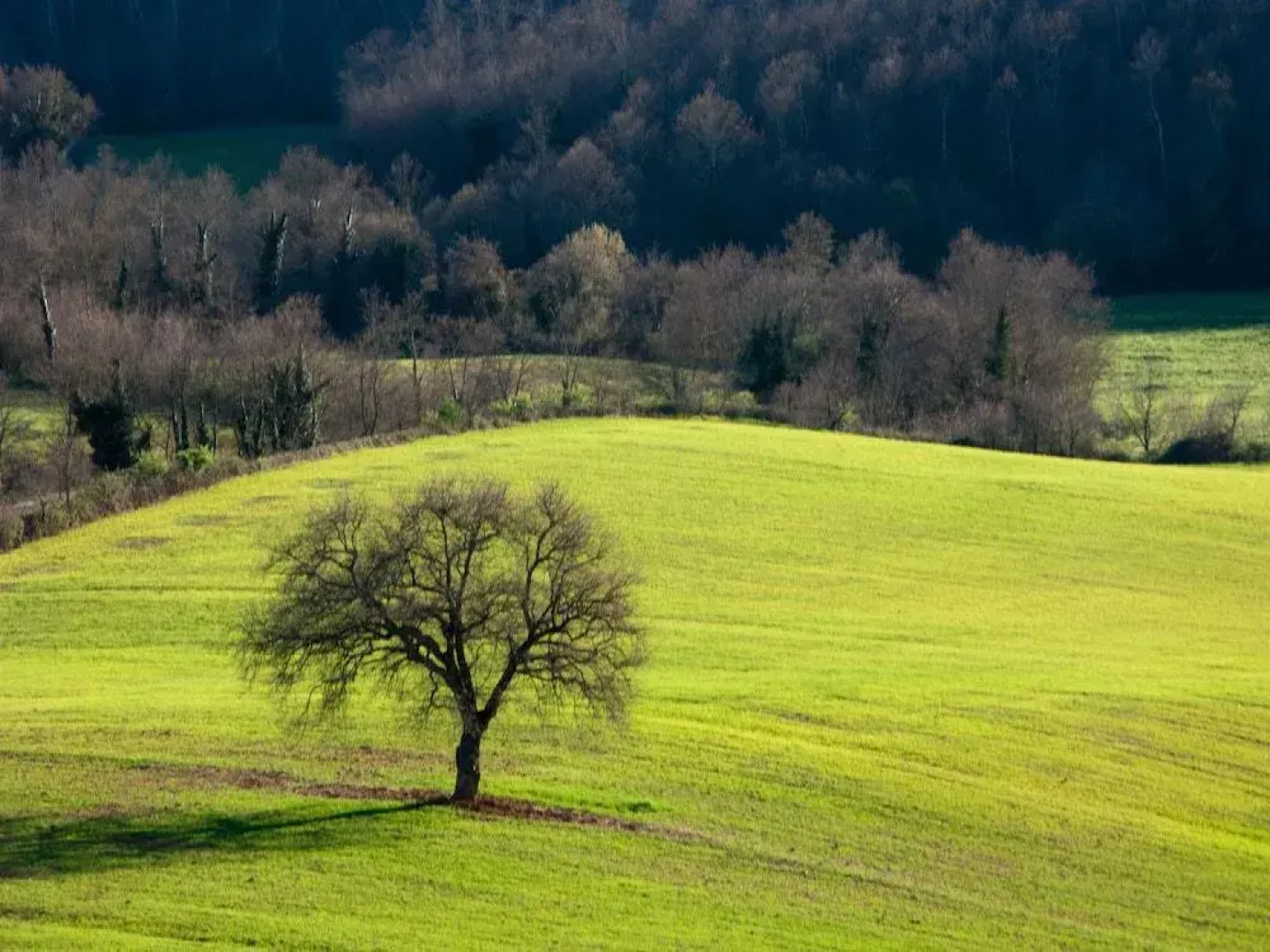 Azienda Agricola Pietra Serena B&B