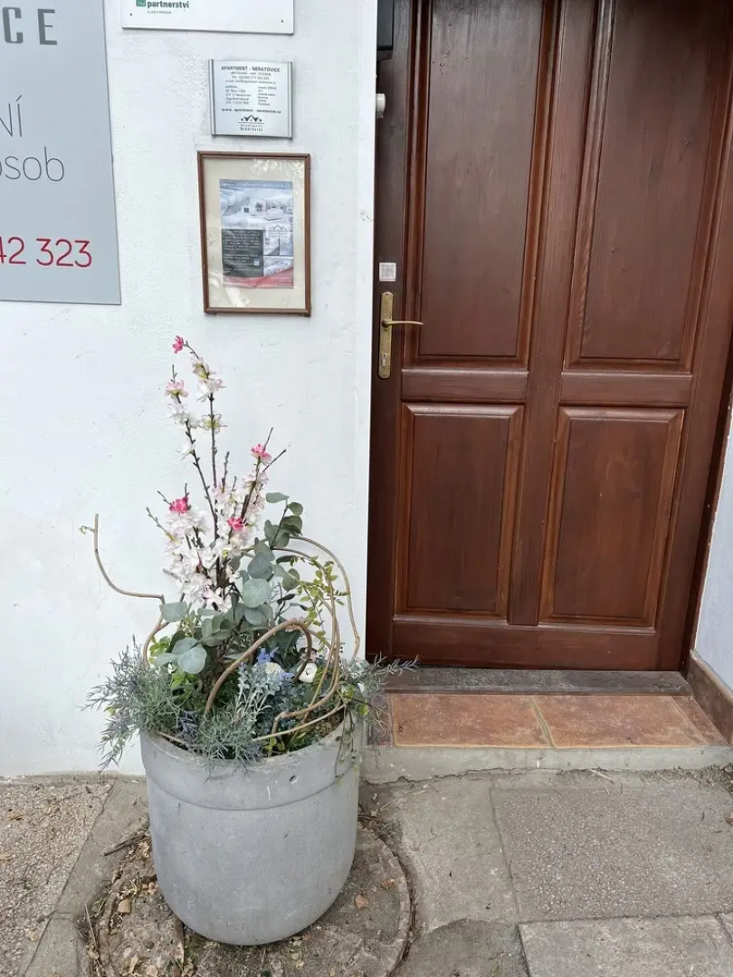 Apartment Neratovice