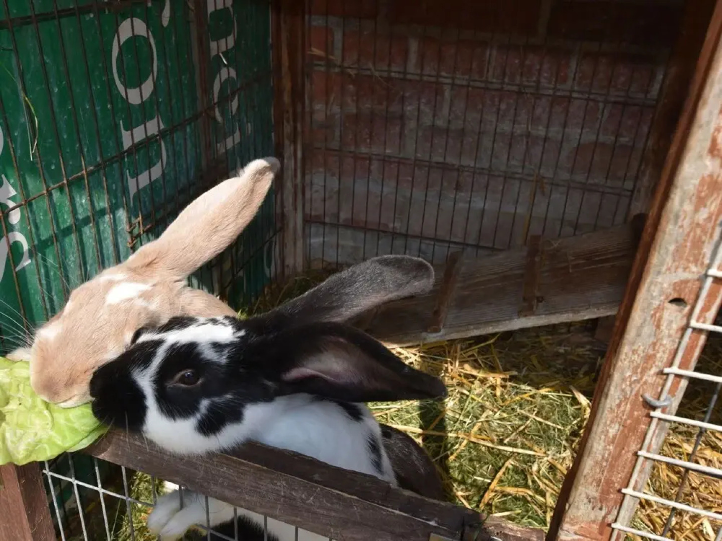Lovely Farmhouse in Boiensdorf Amidst the Forest