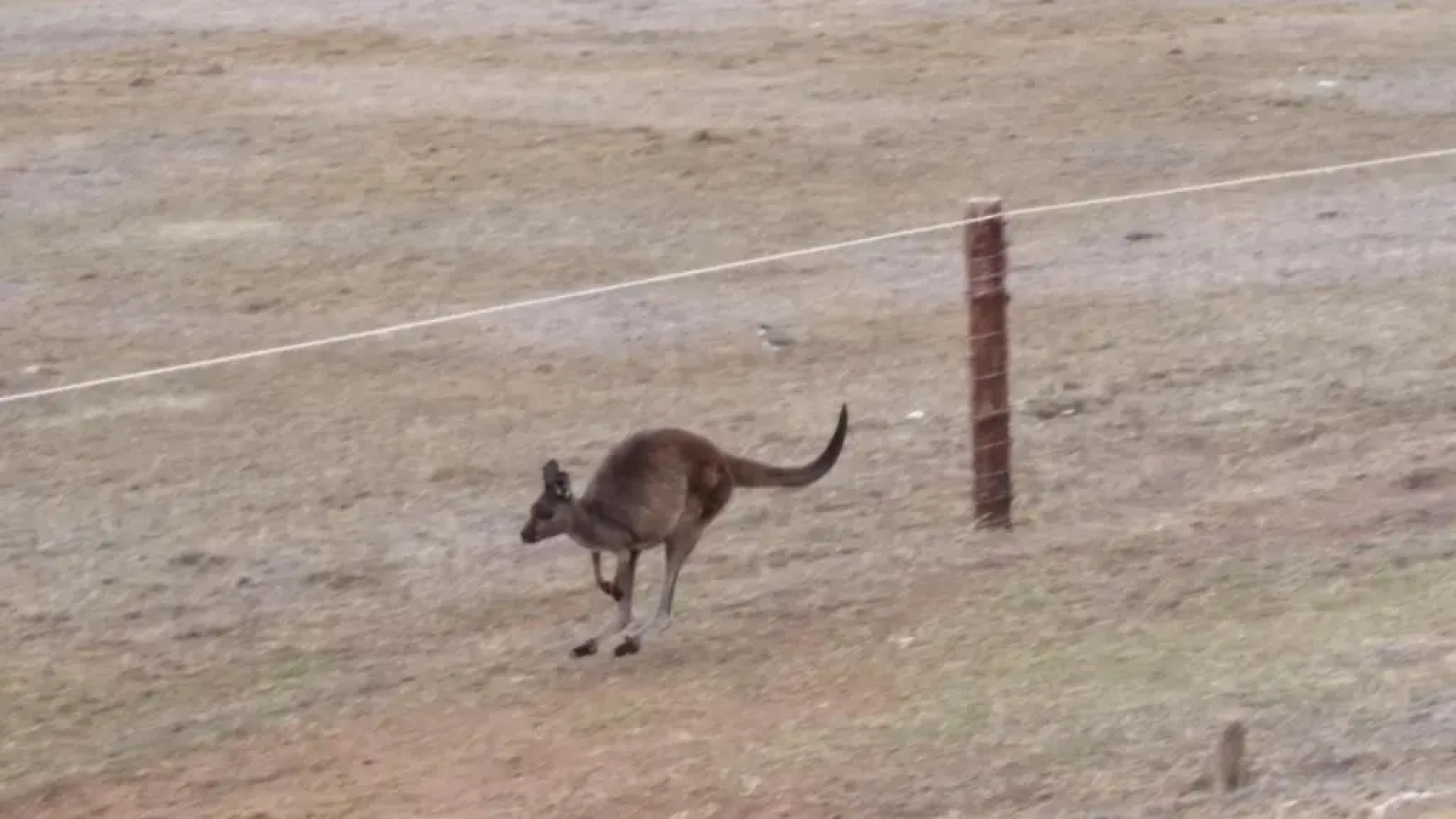 Elanora Tranquility at Emu Bay