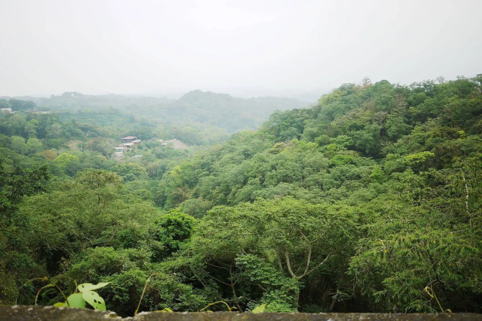 Hsinchu Emei Canadian WoodHouse Homestay