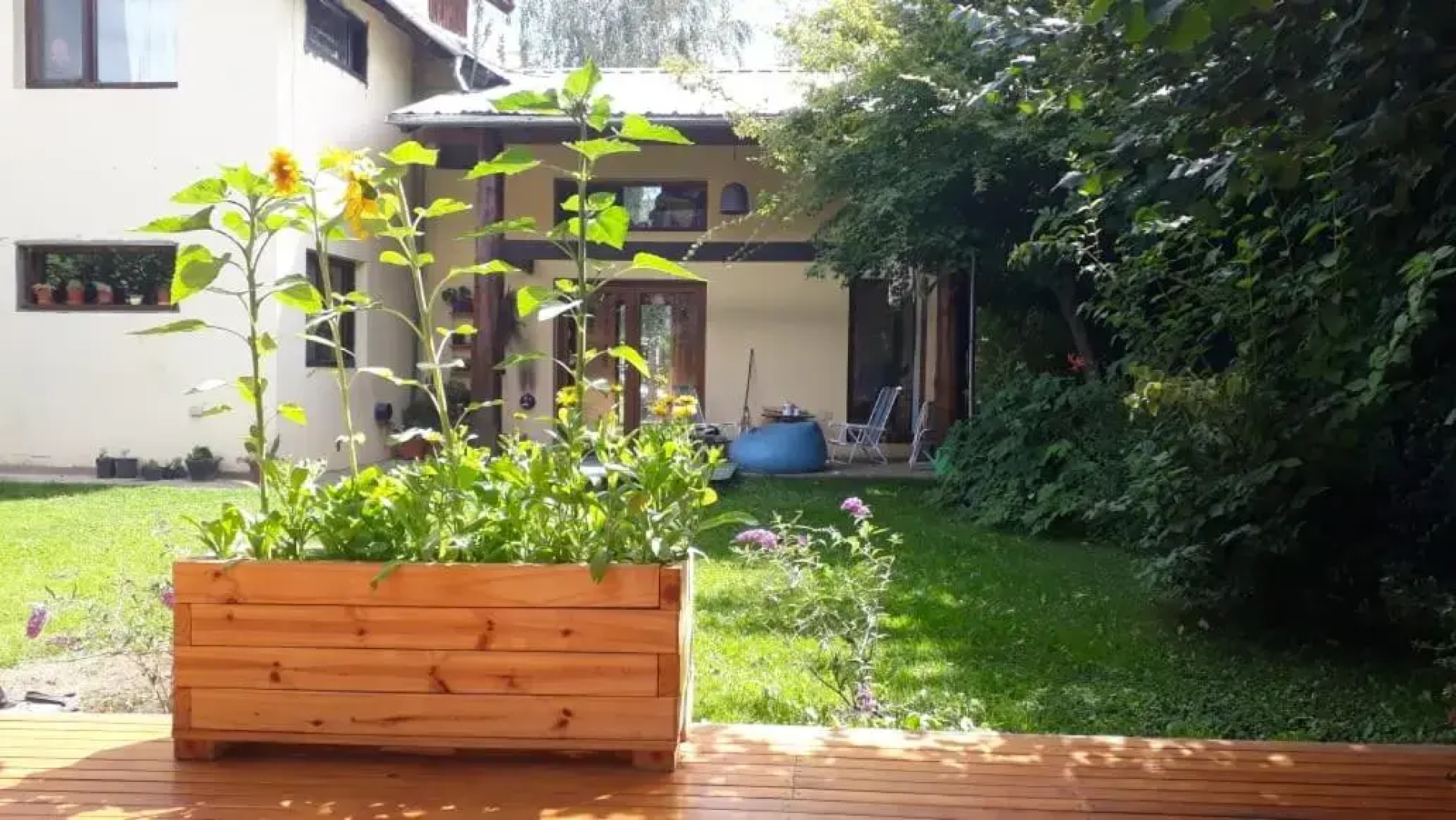 Arboleda Monoambiente