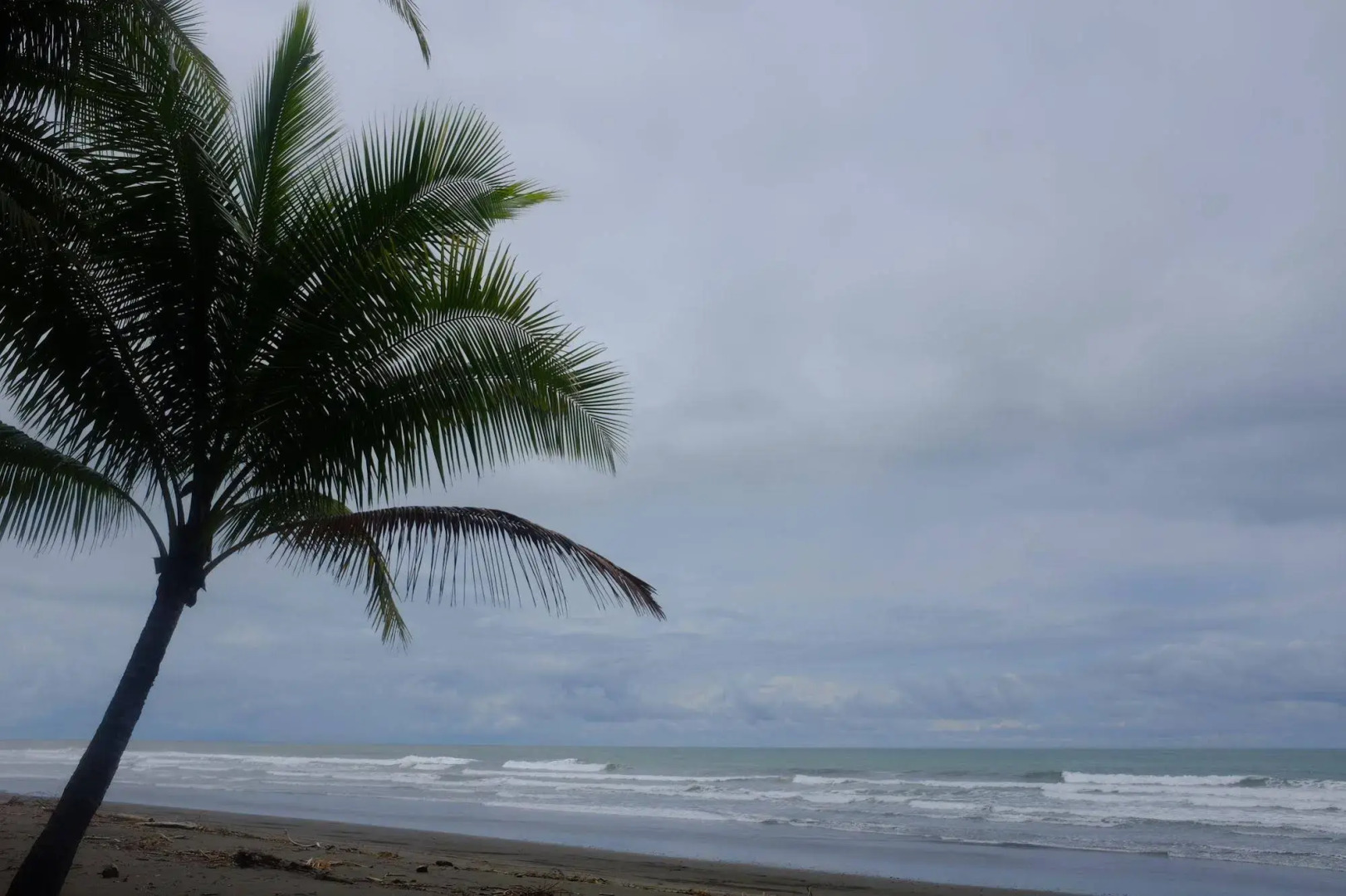 La Palapa Eco Lodge Resort
