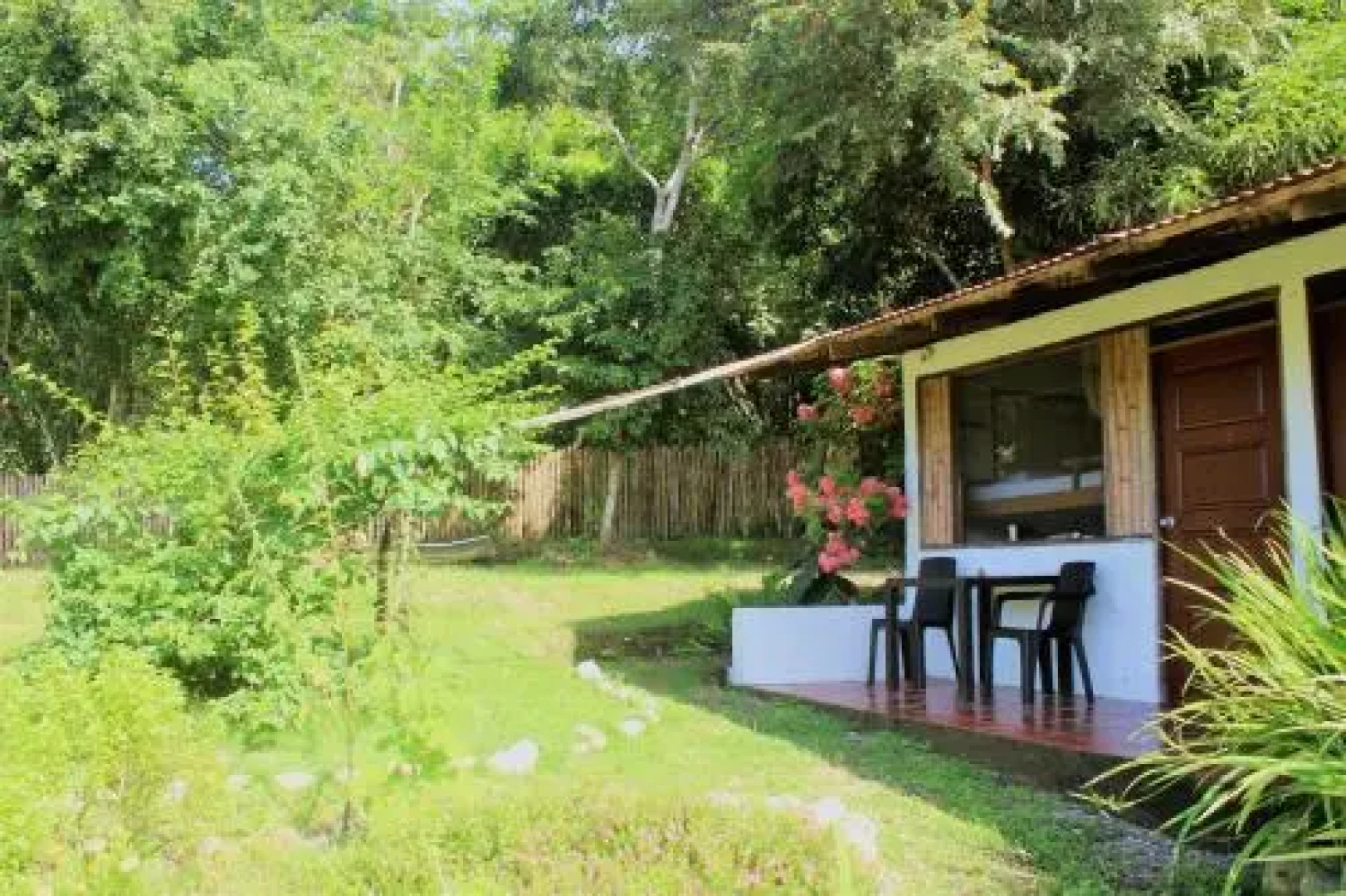 Jaguar Azul Palomino