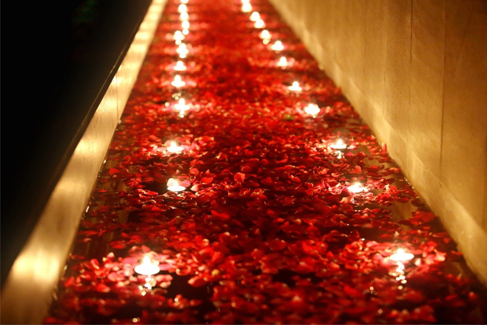 Hotel Express Residency