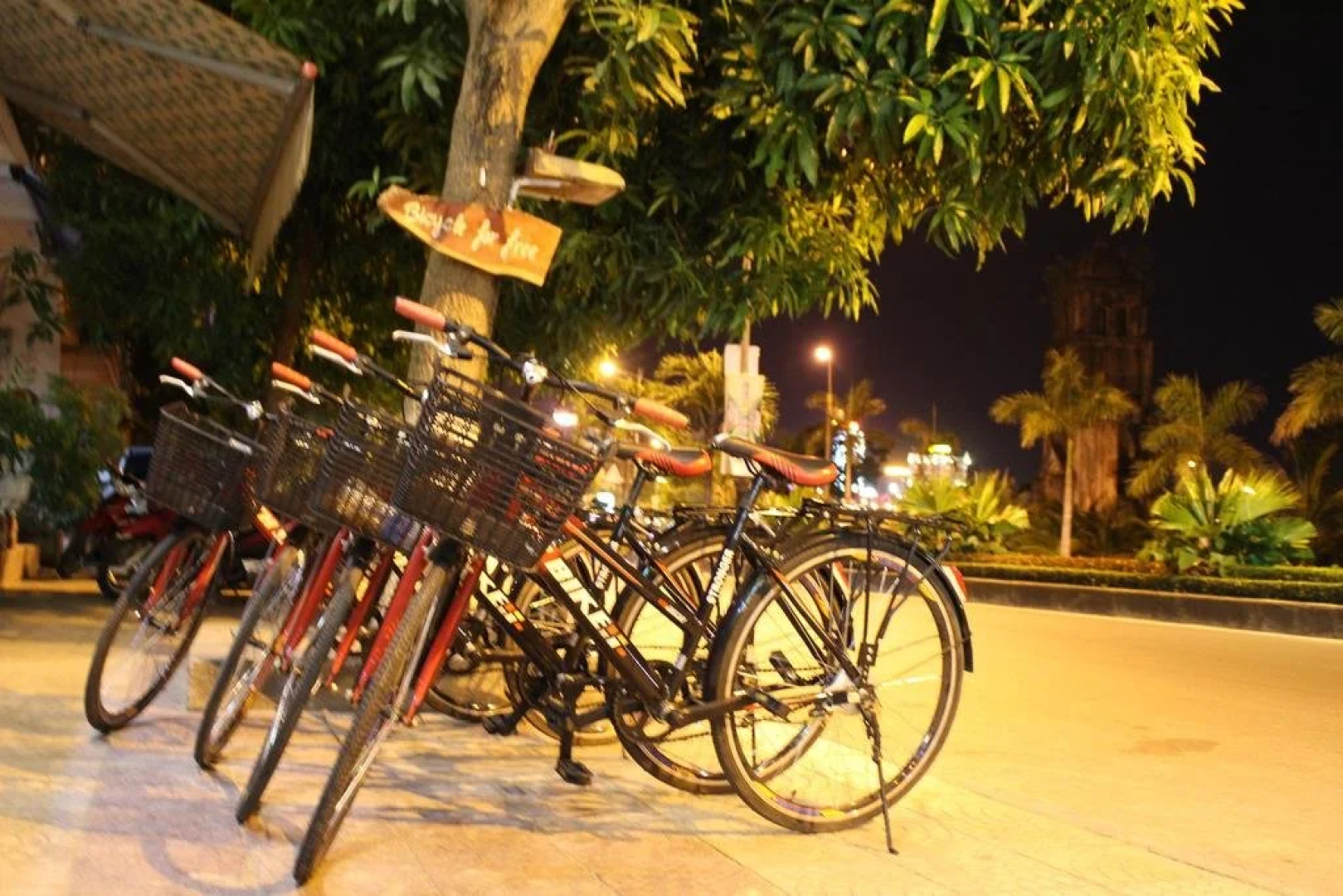 Buffalo Pub and Hostel