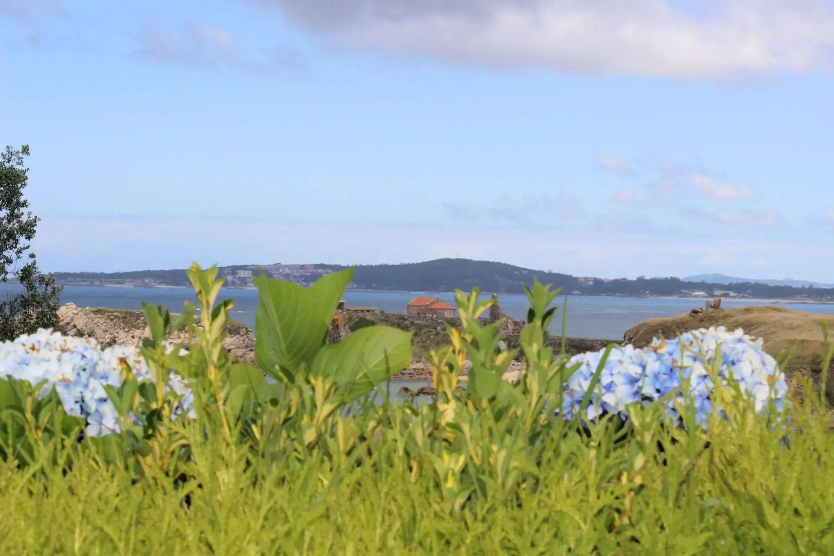 Hotel Estrella del Mar