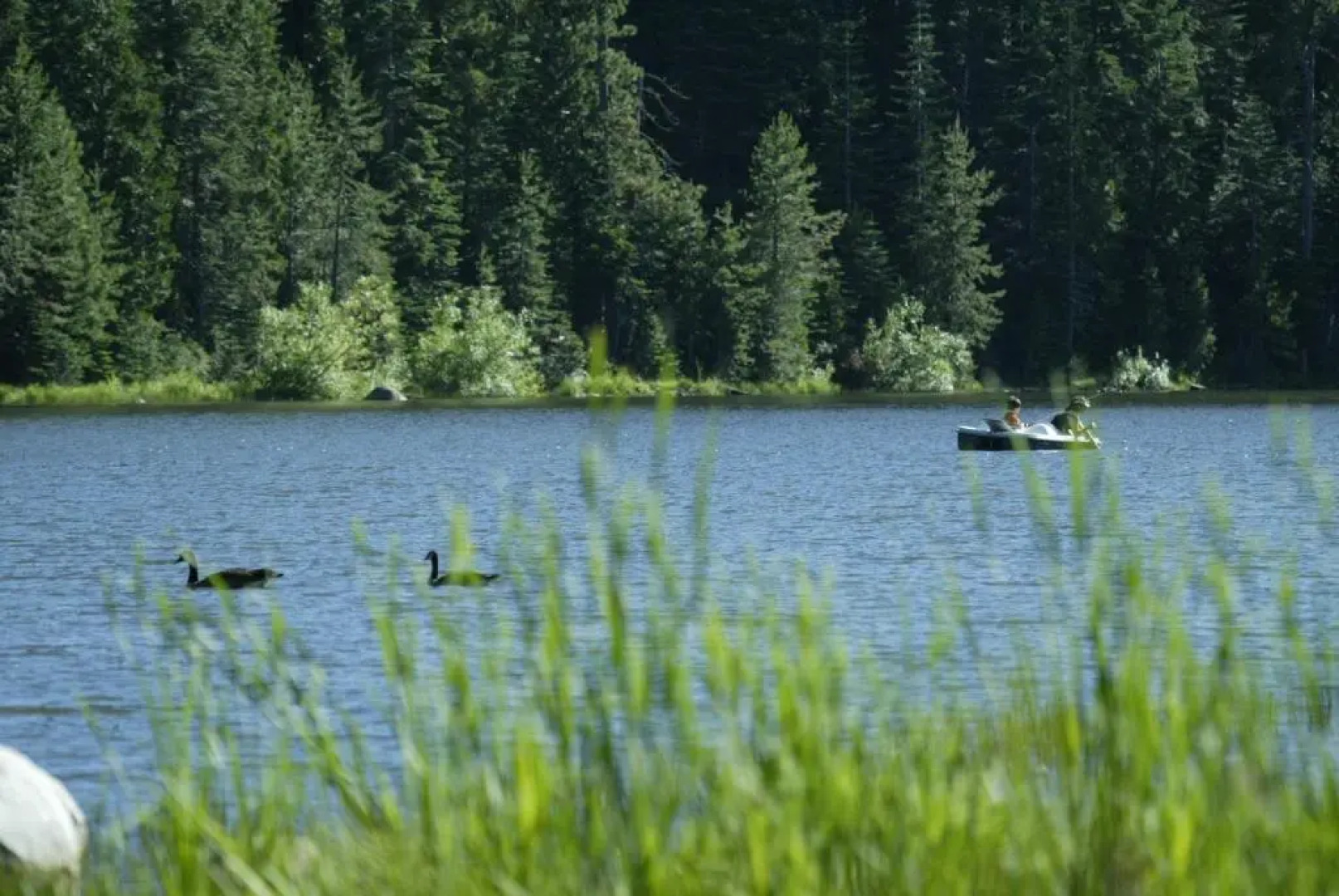 Snowflower Camping Resort Cabin 3