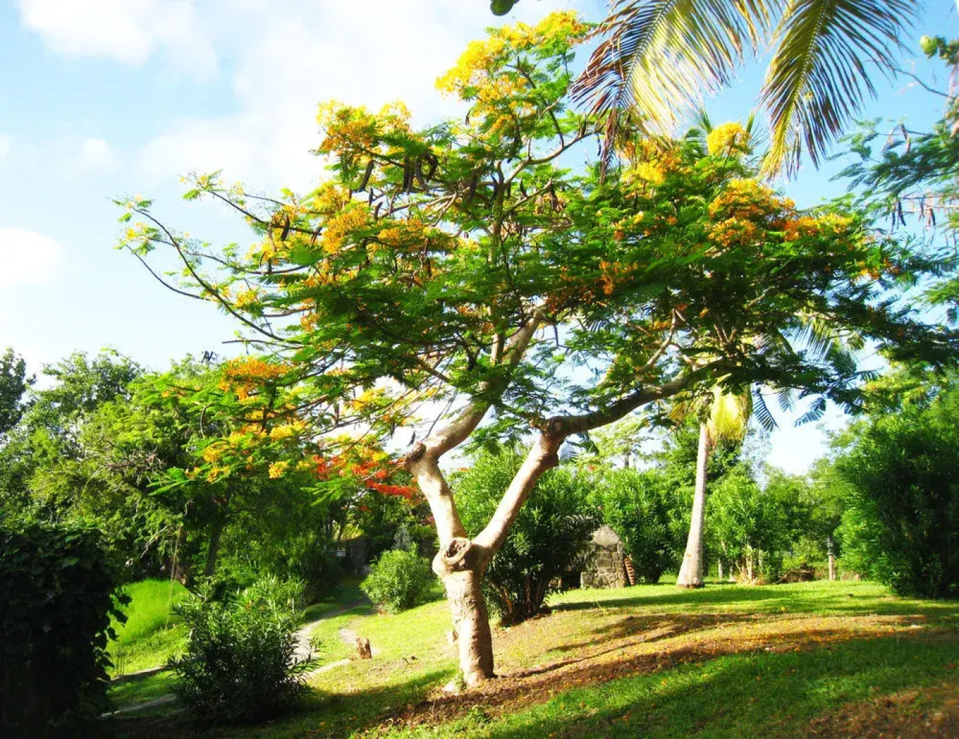 The Old Fort, Natural Hotel & Estate