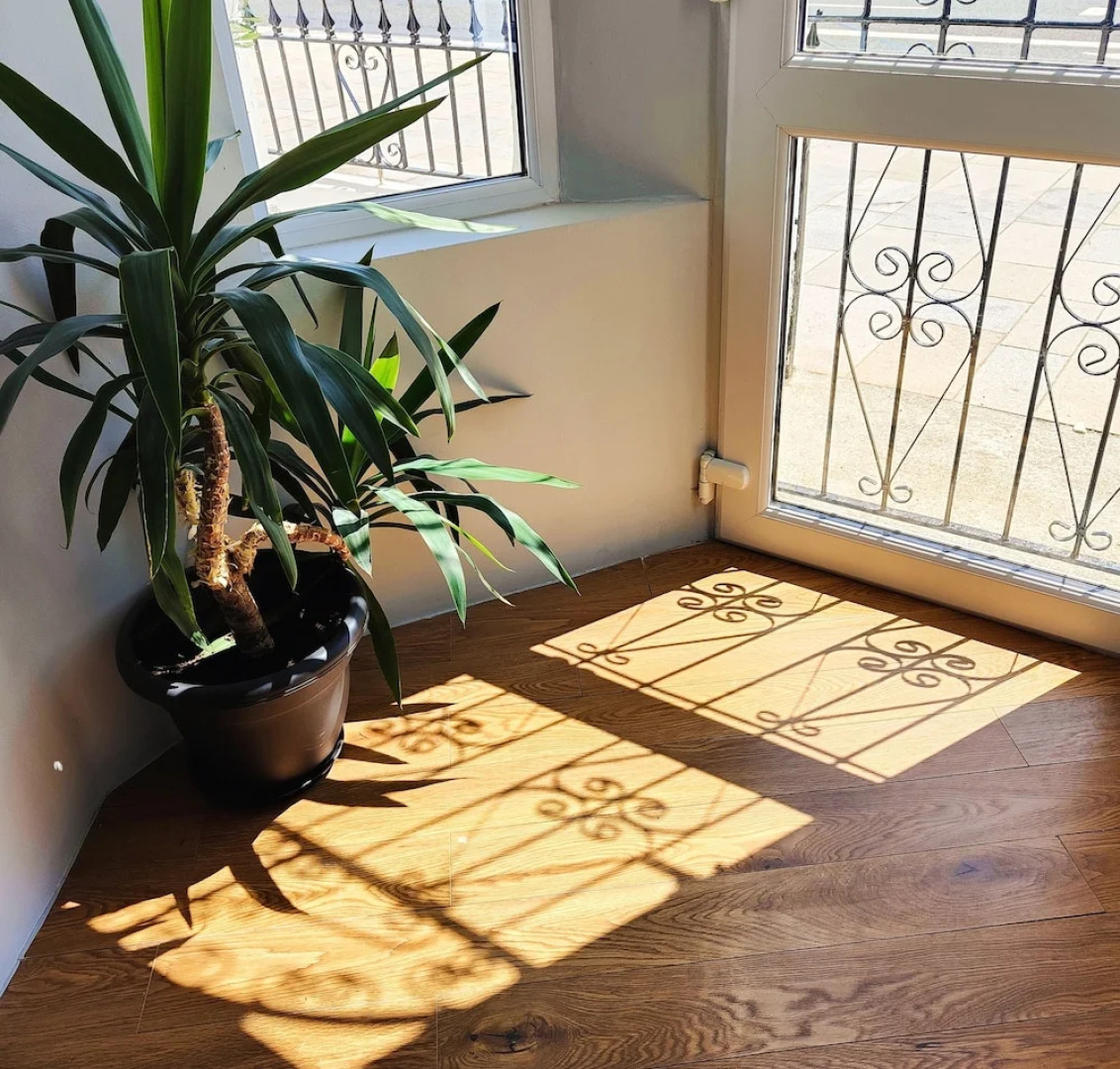 Mourne Mountain Art Apartments