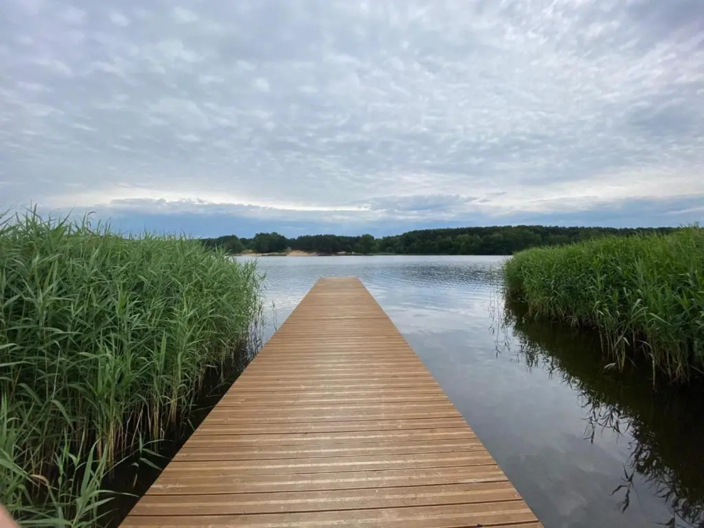 Family & Business Sauna Apartments No2 Leśny nad Zalewem z Balkonem i Parkingiem oraz możliwością wyżywienia