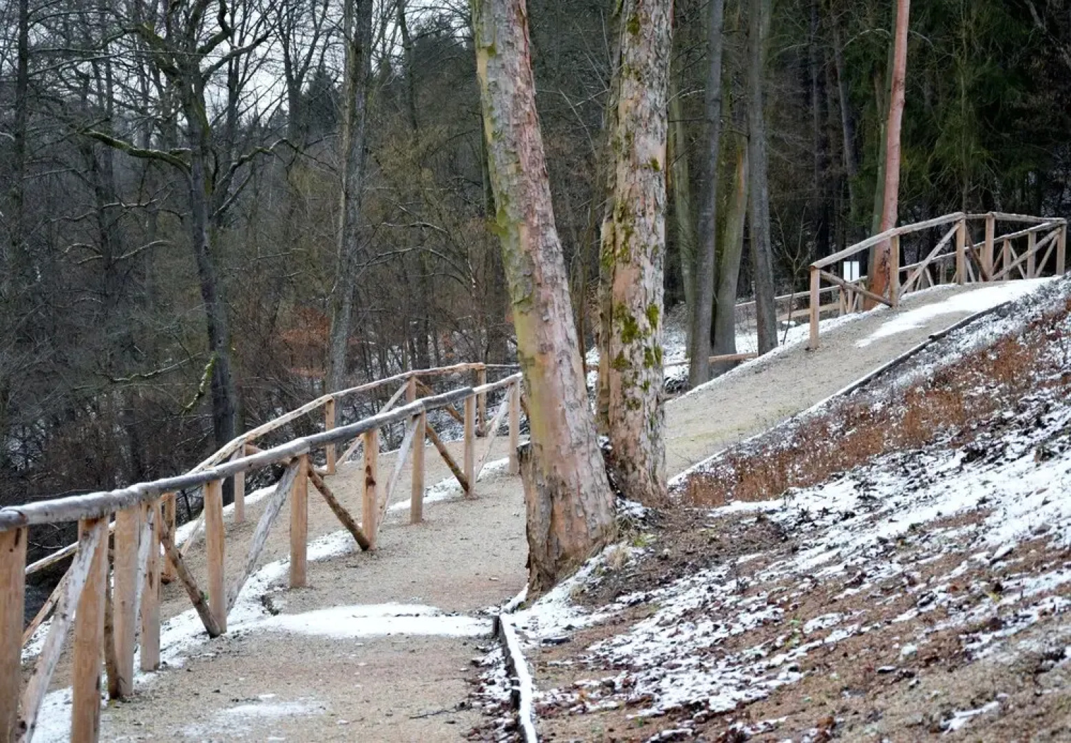 Hotel Green Paradise