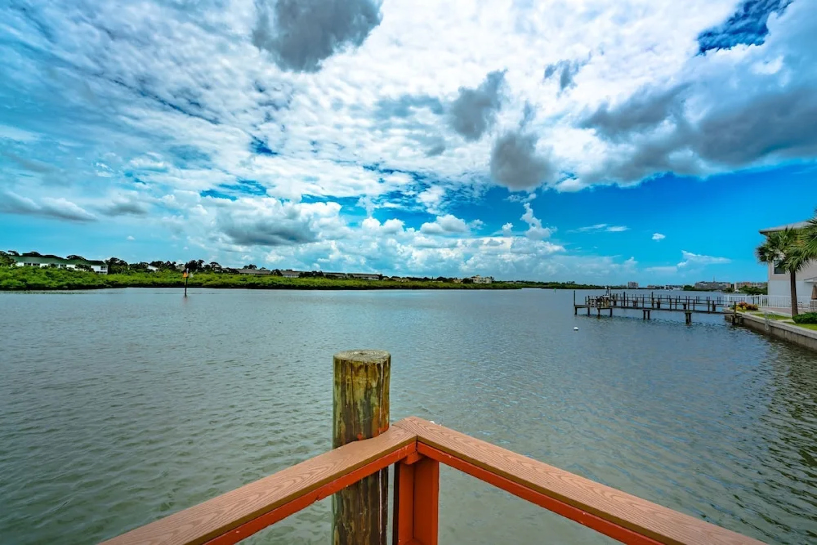 Seashell 19 by Vtrips