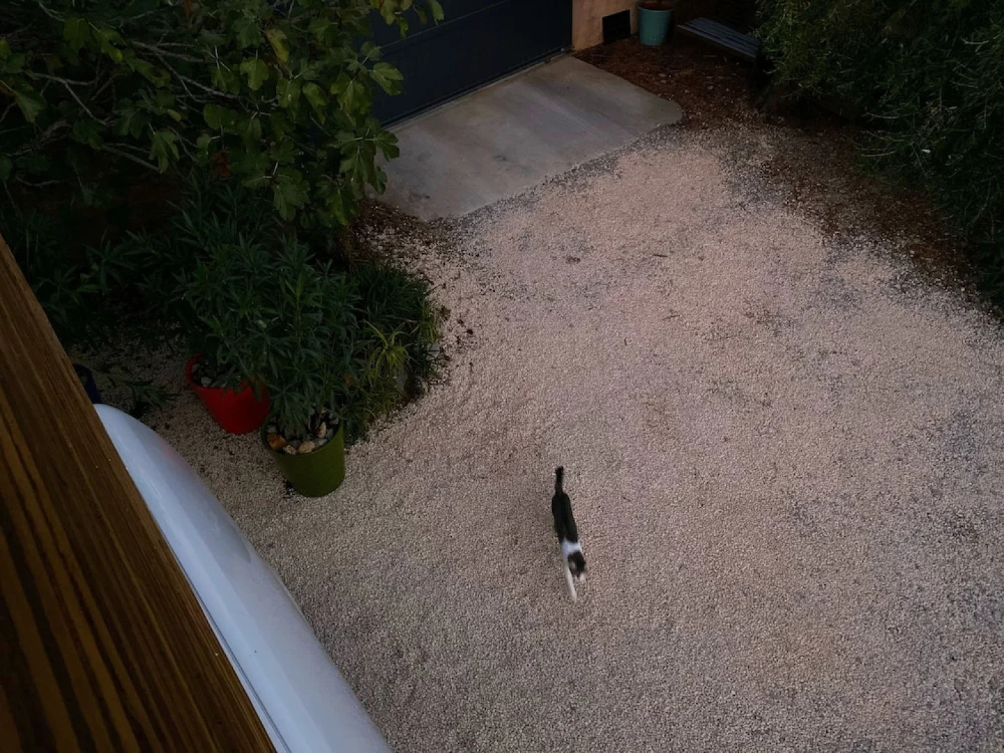 Tipi Lounge and breakfast