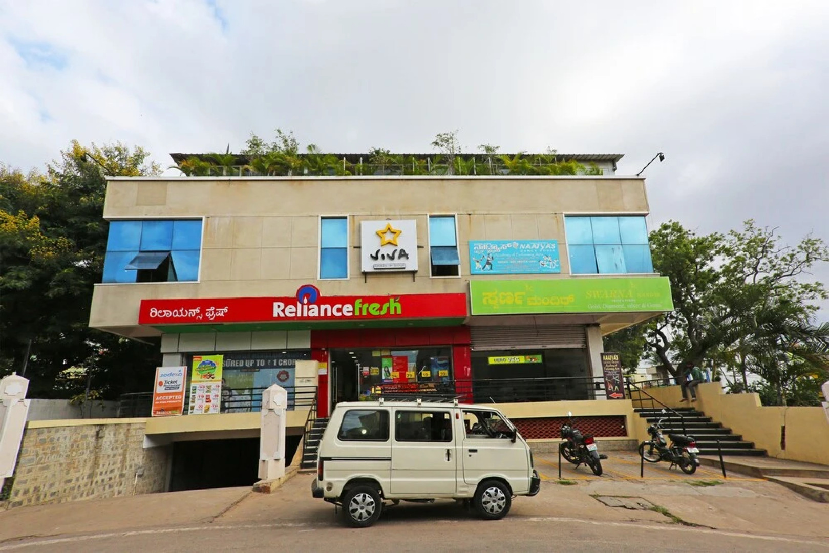 OYO 9136 Mauve Orchid