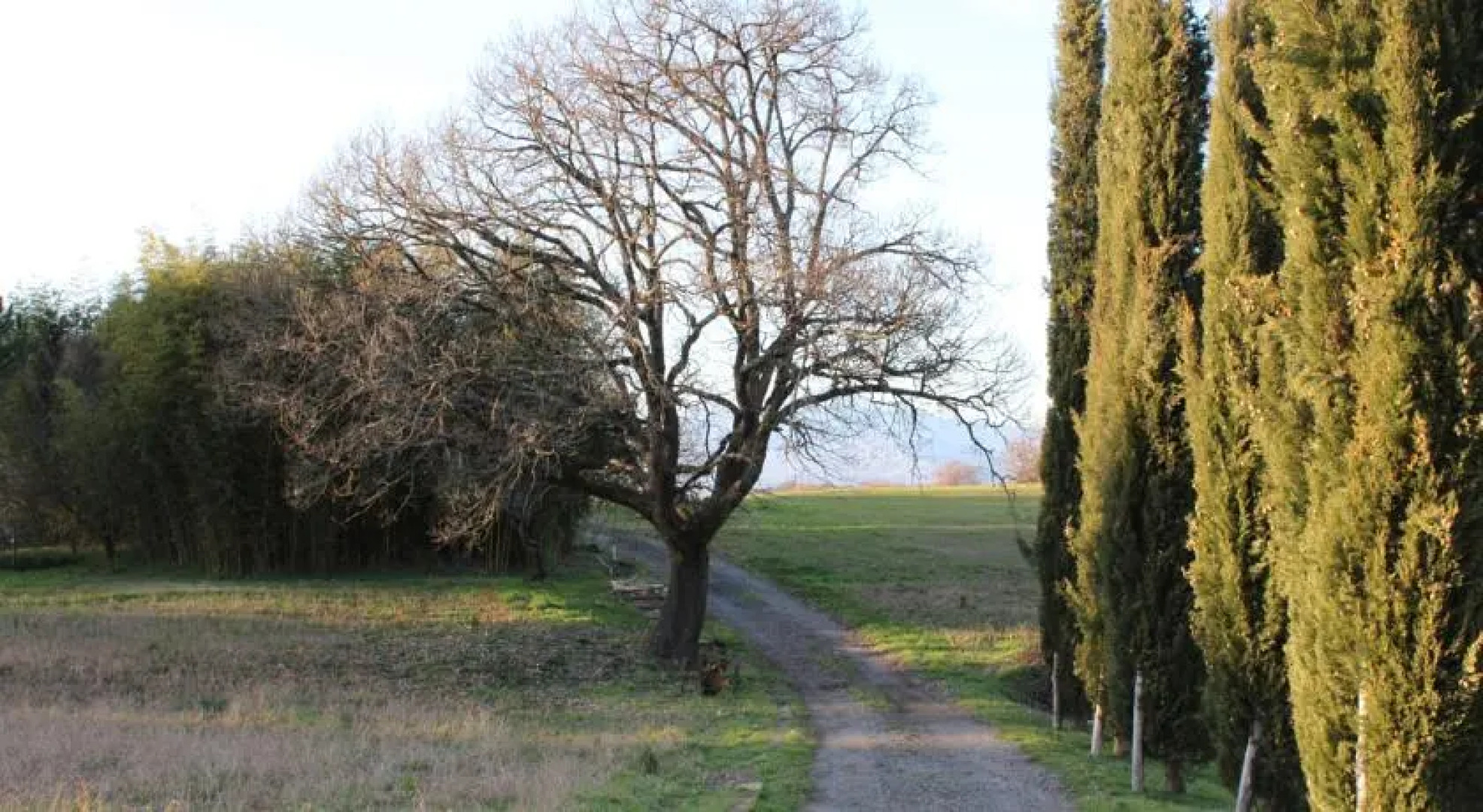 Casale Luna Tra Gli Ulivi