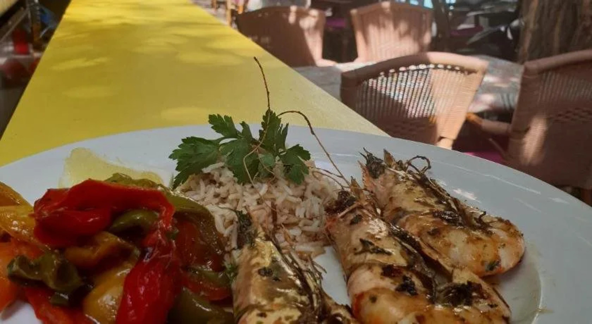 Le Mas de la Frigoulette