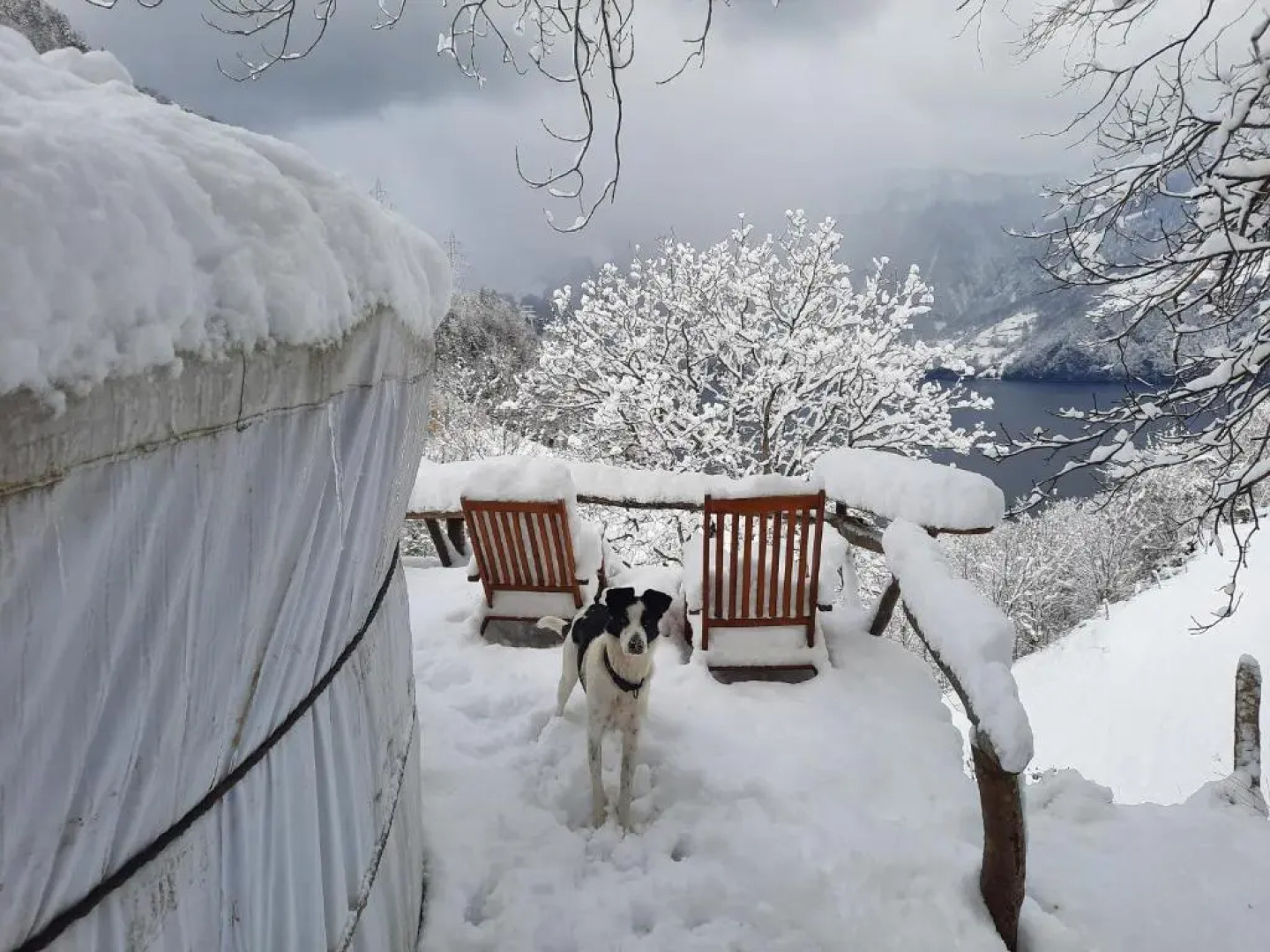 Panorama Jurte Über Dem Uri-See (Sisikon)