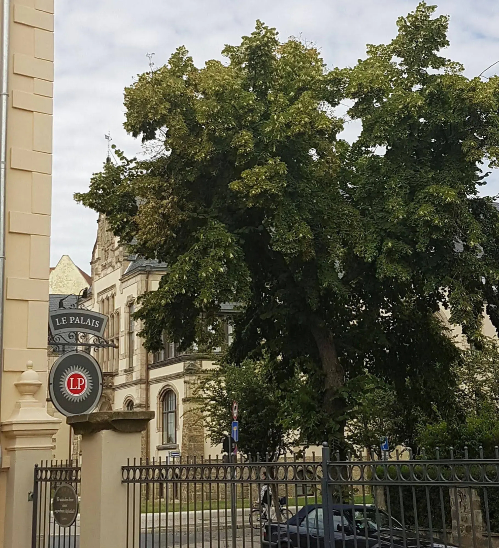 Villa le Palais