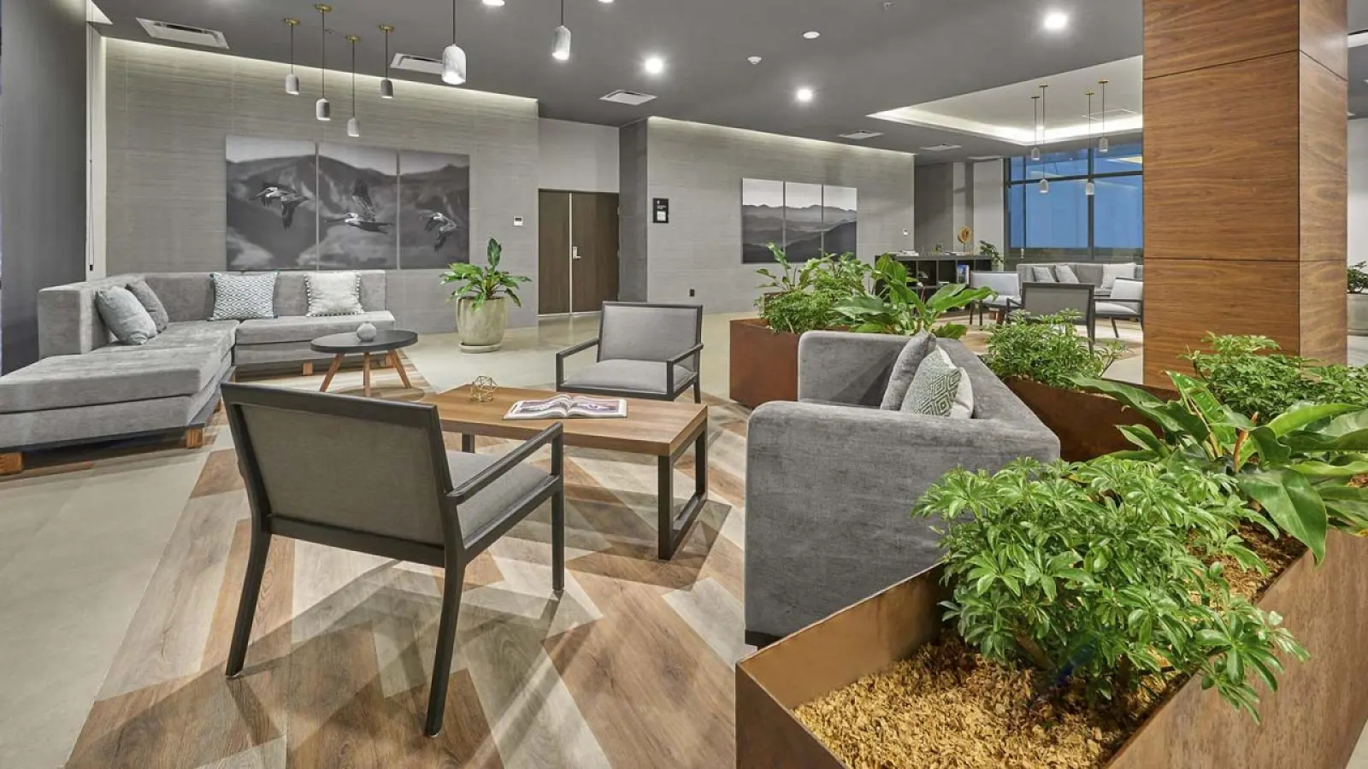 City Express Plus by Marriott Tijuana