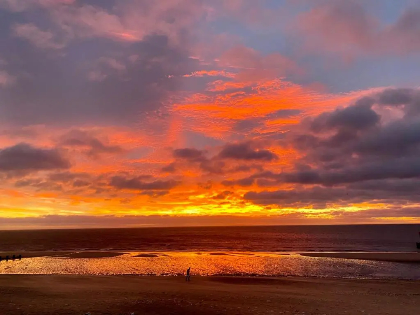 Oceana Holiday Apartments