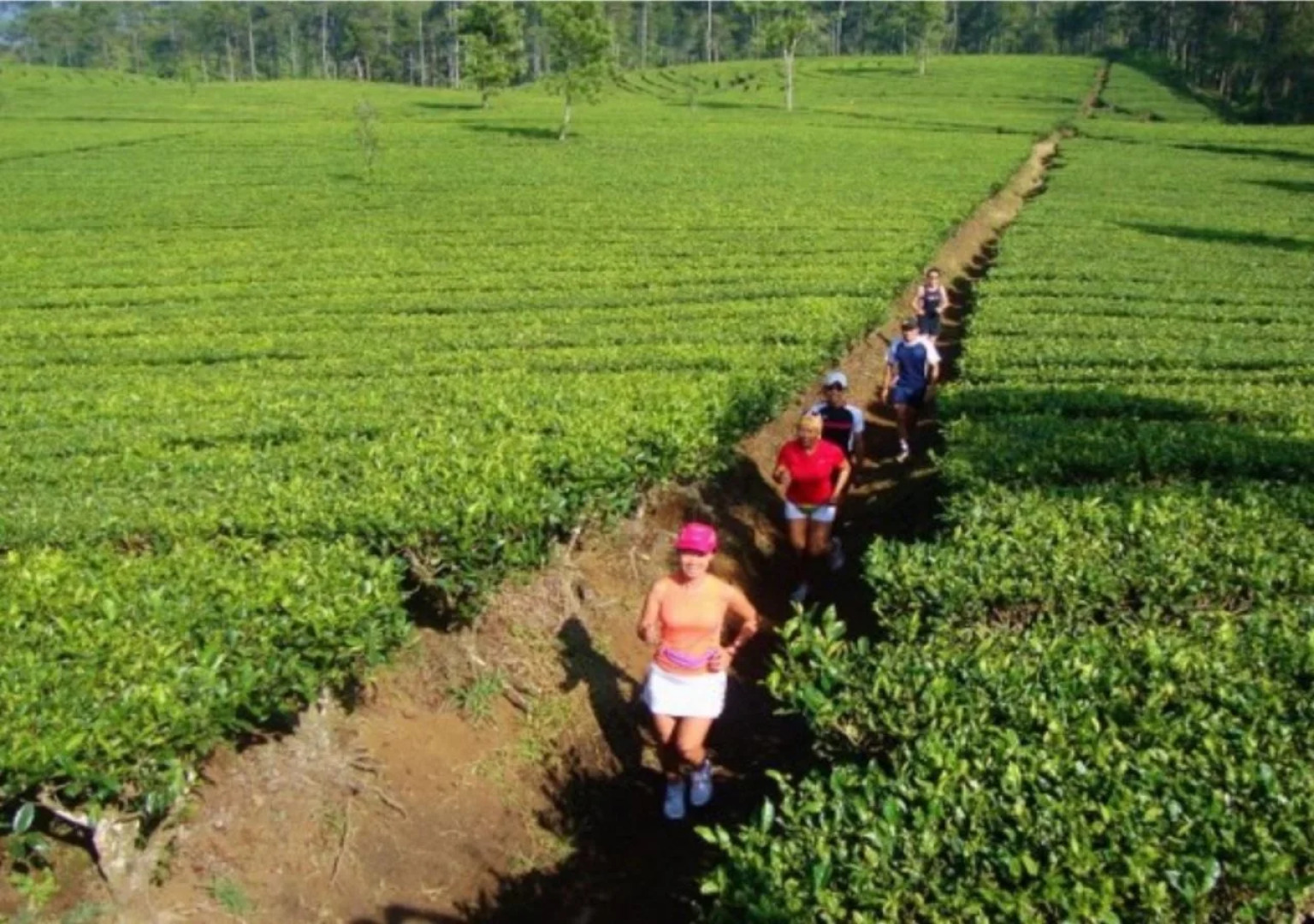 Bamboo Village by Villa