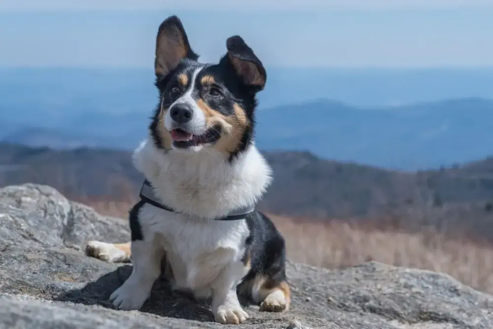 Rejuvenate in the Mtns w Sauna 5 min Drive to DT