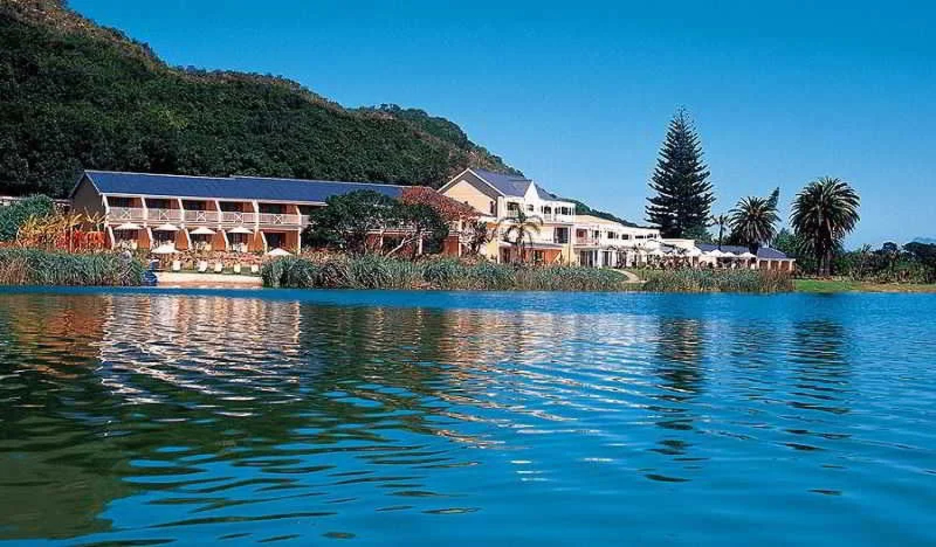 Lake Pleasant Living