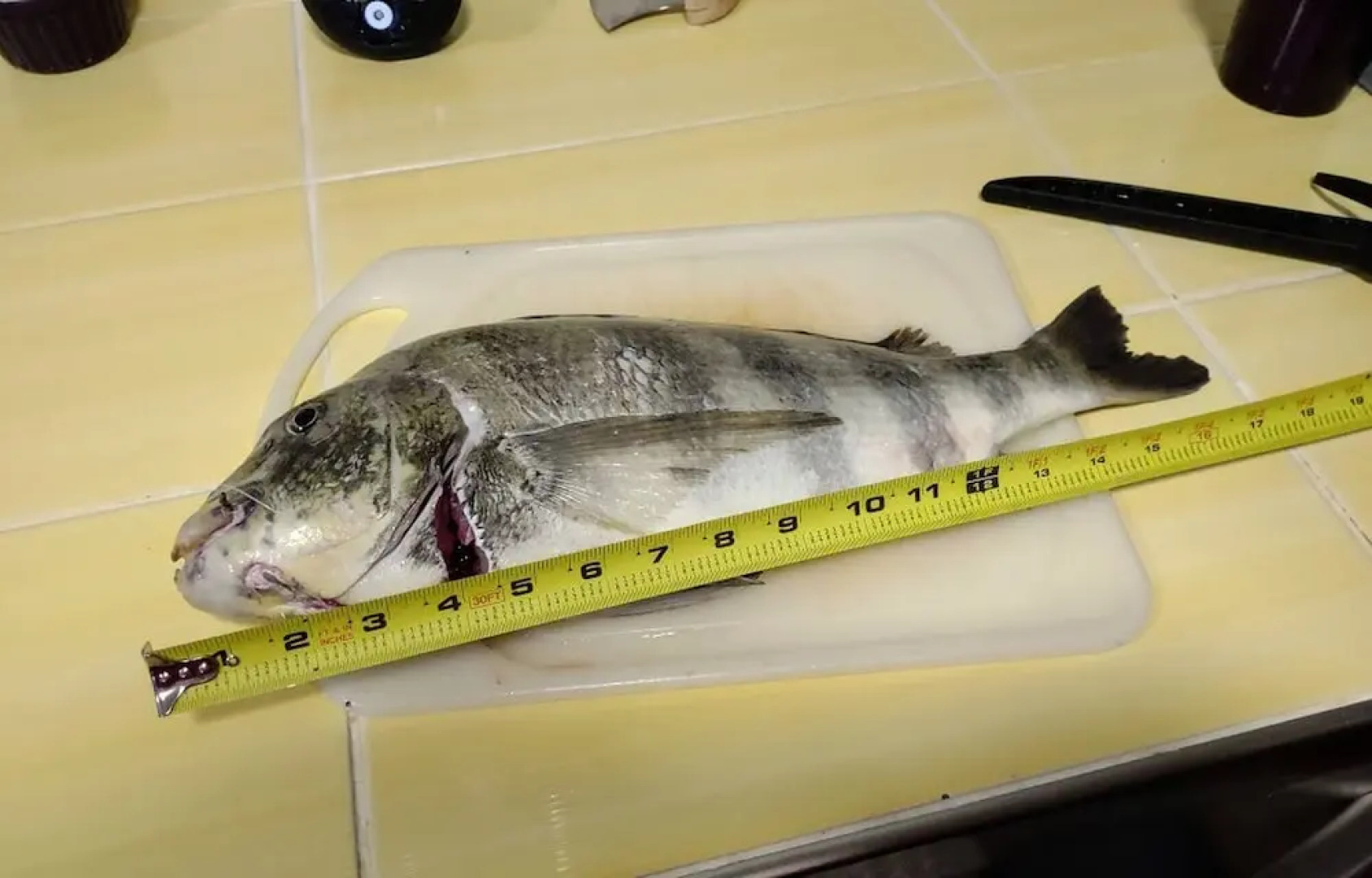 The Keys Bungalow On The Cotee River