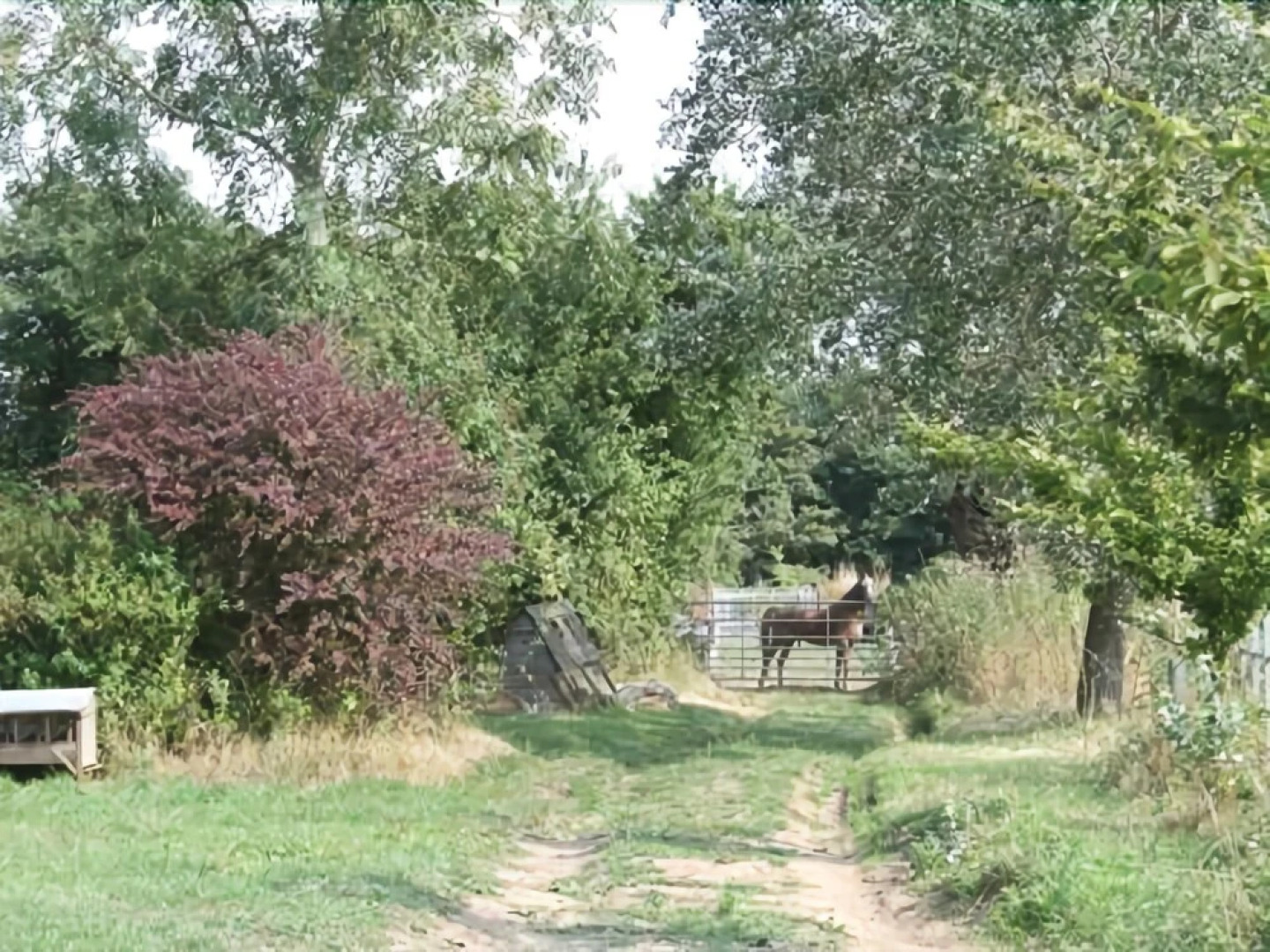 Red House Farm Bed & Breakfast