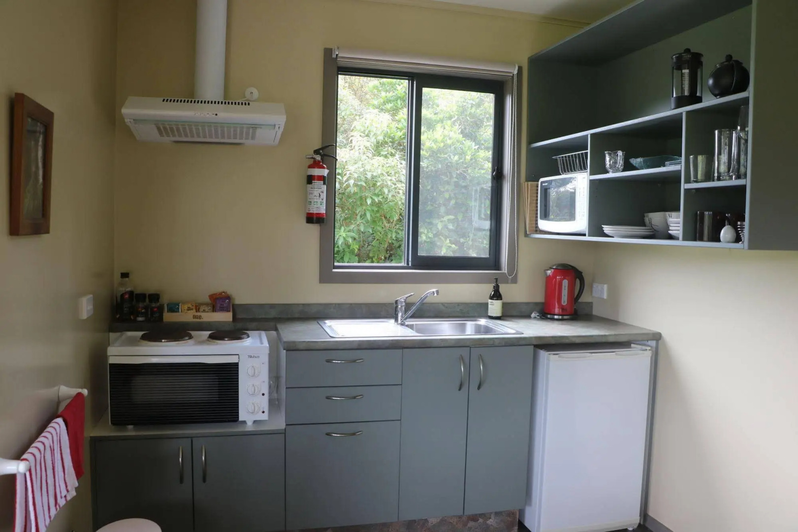 Mohua Park - Catlins Eco Accommodation