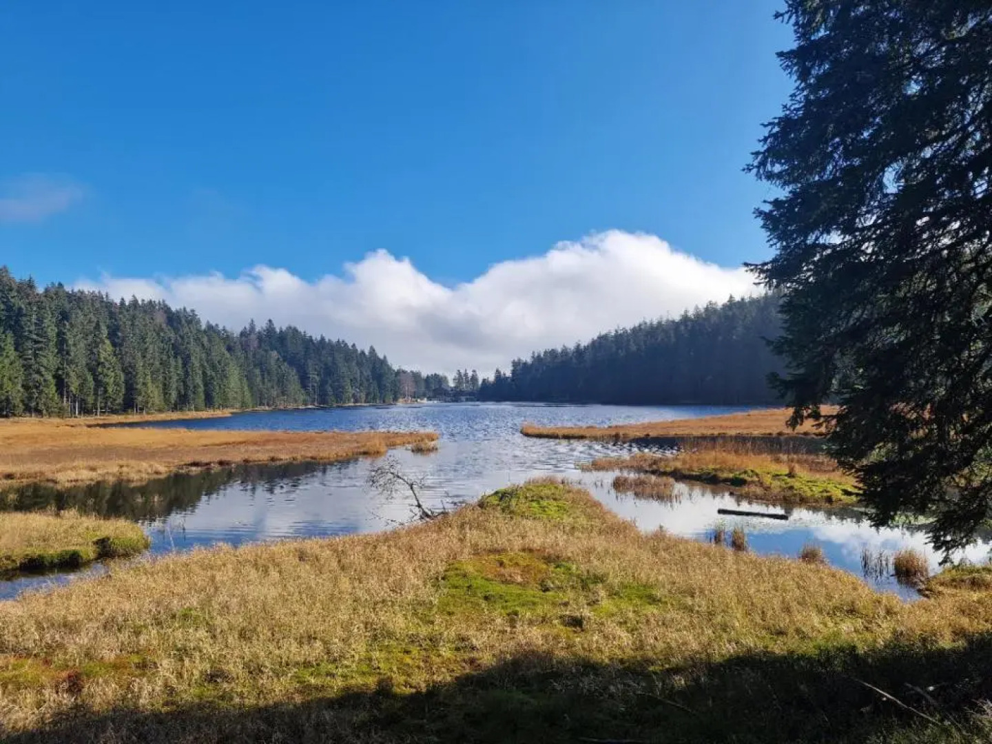 Wohlfuhlappartement Wildgatter