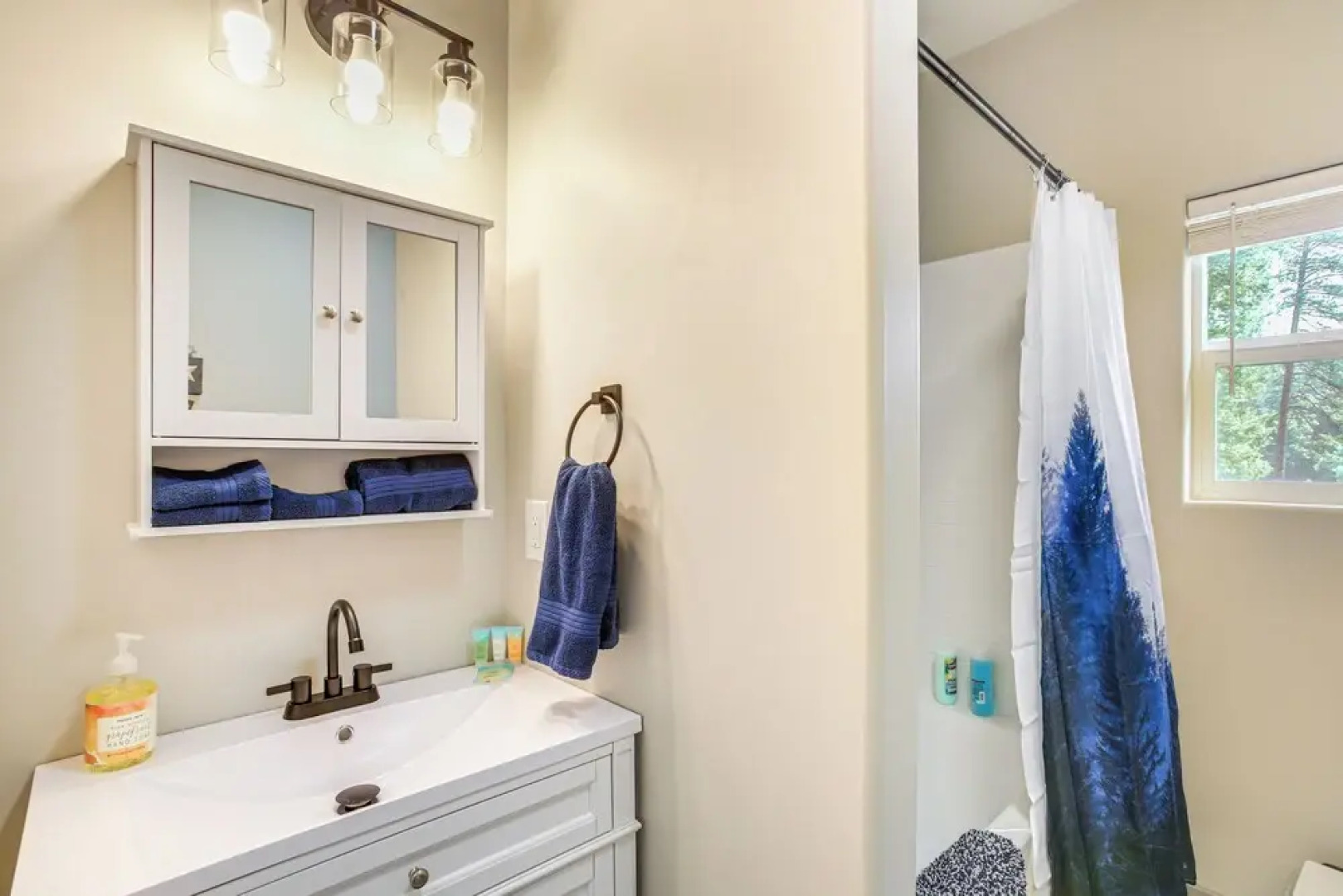 Lake Lover's Paradise: Waterfront Home in Hayden!