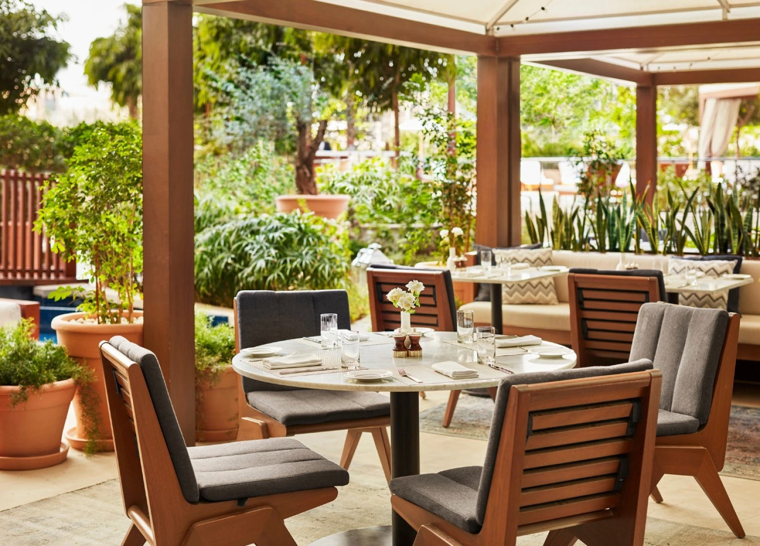 The Abu Dhabi Edition