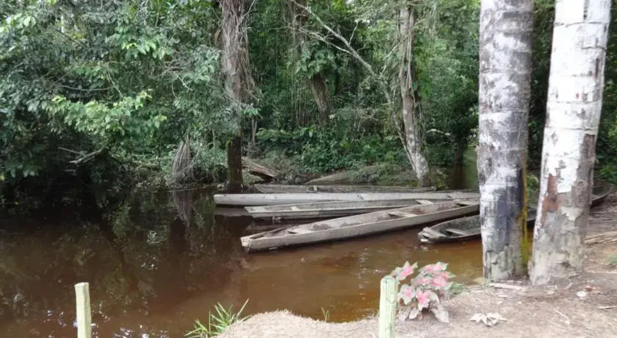 Pacaya Samiria Backpackers Lodge